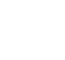 respiratory icon